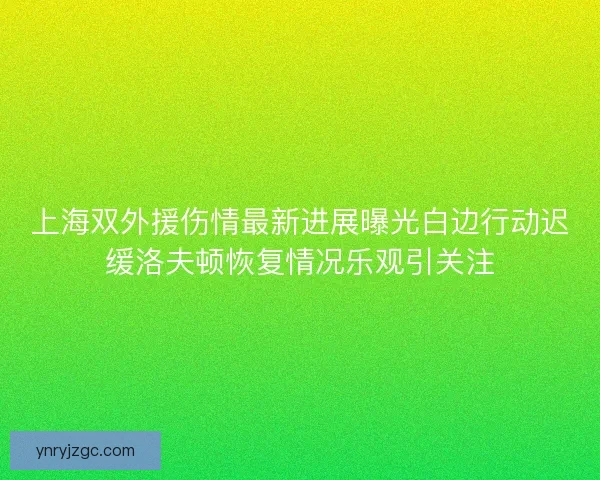 上海双外援伤情最新进展曝光白边行动迟缓洛夫顿恢复情况乐观引关注 上海双外援伤情最新进展曝光白边行动迟缓洛夫顿恢复情况乐观引关注